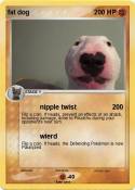fat dog