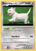 Stupid Dog