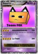 TeamFOX