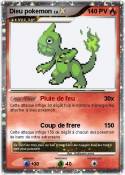 Dieu pokemon