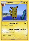 Pika craft ...