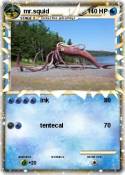 mr.squid