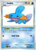 mudkip