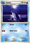 Dolphin