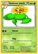 Sunflower (Adul