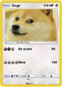 Doge