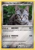 Stermy the Cat
