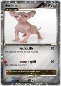 chaton