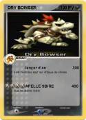 DRY BOWSER