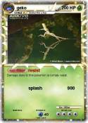 geko