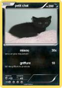 petit chat