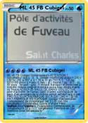 ML 45 FB Cubige