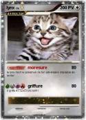 lynx