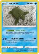 Little turtler