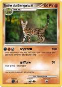 Tache du Bengal