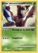 berger allemand