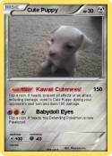 Cute Puppy