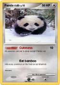 Panda cub