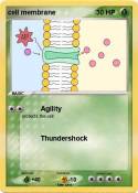 cell membrane