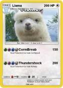 Llama