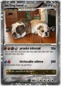 les Dog band