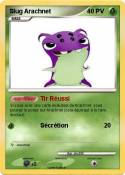 Slug Arachnet