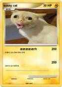 sussy cat