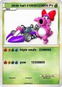 birdo kart 4106