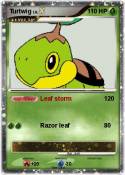 Turtwig