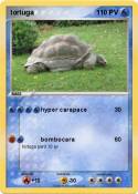 tortuga