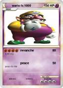 wario lv.1000