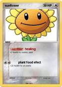 sunflower