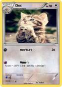 Chat