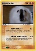 Gabe the dog