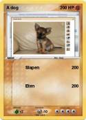 A dog