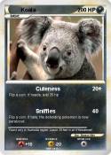 Koala