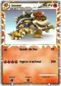 bouser