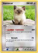 Siamisecat
