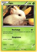 lapin