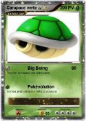 Carapace verte