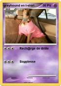 greyhound en