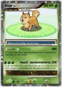 Doge