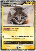 kittenish thing