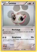 petshop