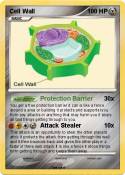 Cell Wall