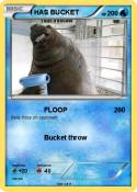 I HAS BUCKET