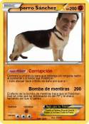 perro Sánchez