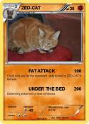 ZED-CAT