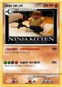 ninja cat