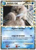 dentiste chat